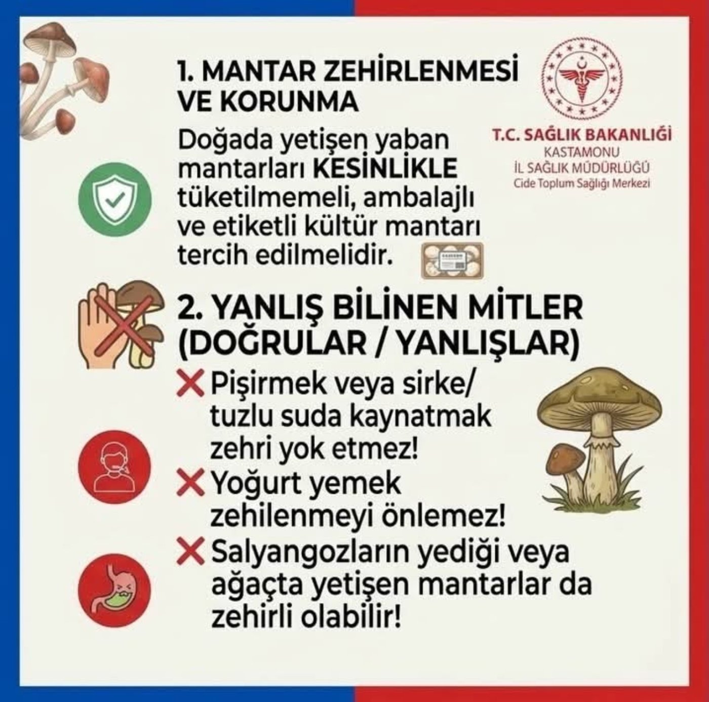 Cide Toplum Sağlığı Merkezi’nin mantar zehirlenmesinden korunma ve doğru bilinen yanlışlar afişi