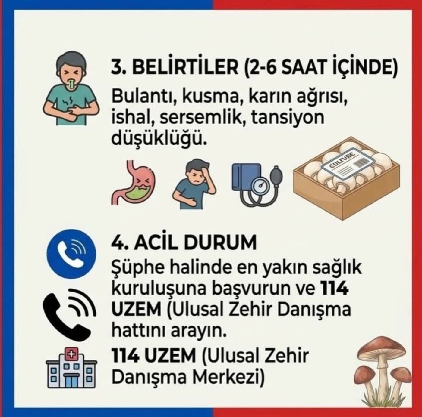 Mantar zehirlenmesinin erken belirtileri ve 114 UZEM bilgilendirme afişi