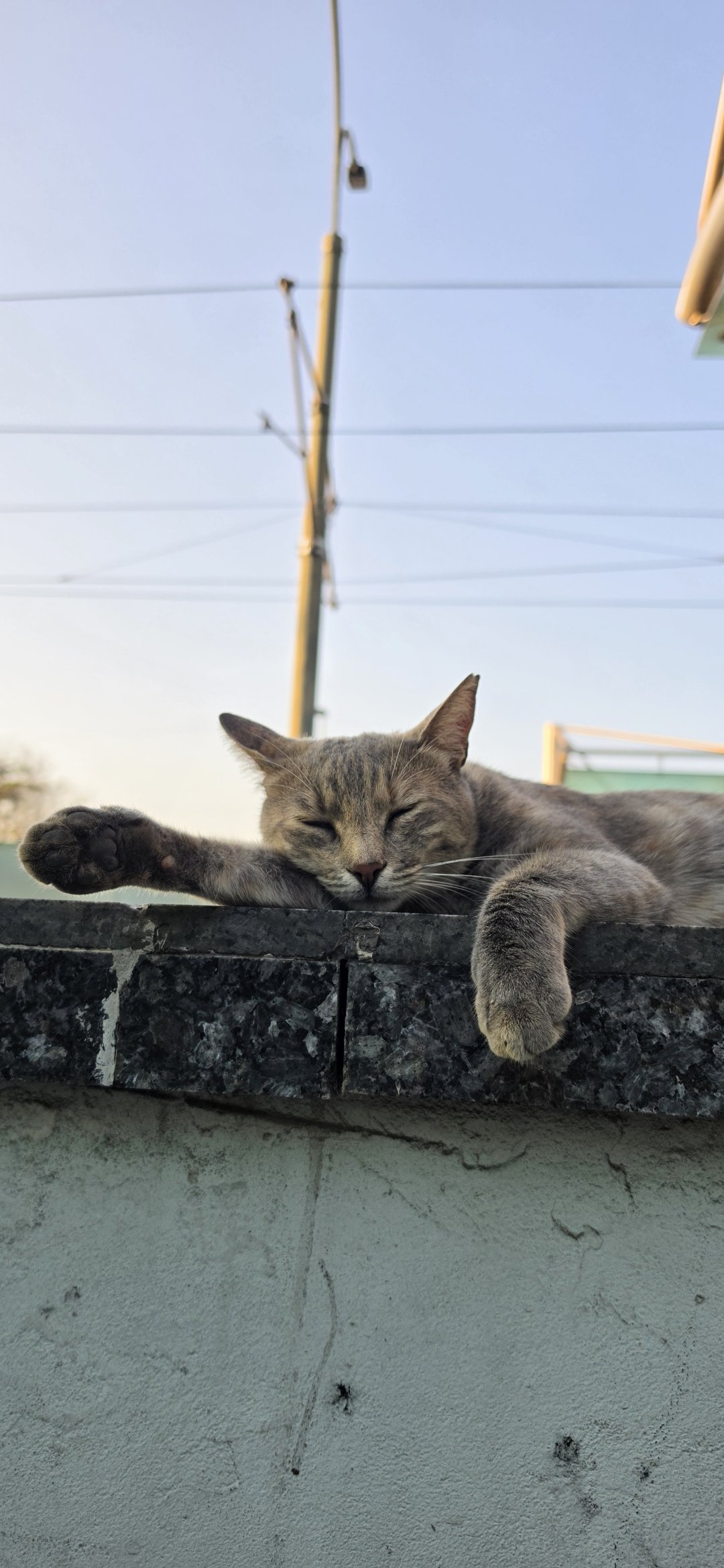 Cide Life tarafından paylaşılan fotoğraf