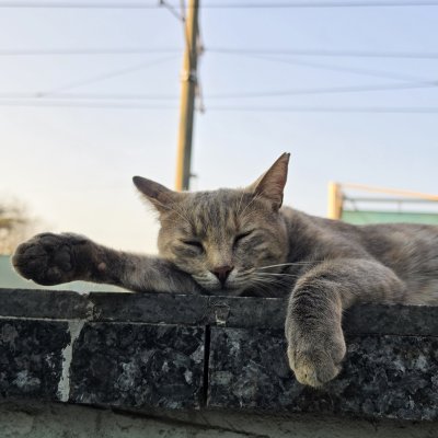 Cide Life tarafından paylaşılan fotoğraf