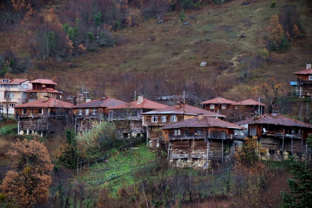 Sarıçam Evleri