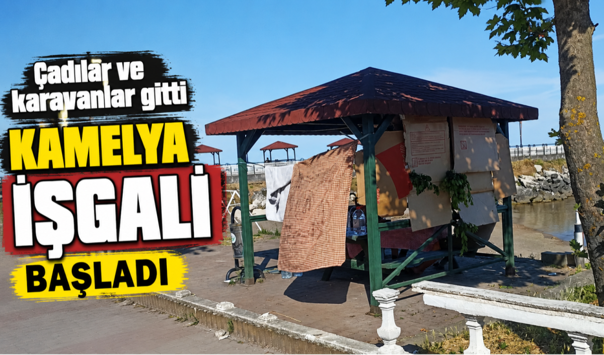 Çadırlar ve Karavanlar Gitti, Kamelya İşgali Başladı