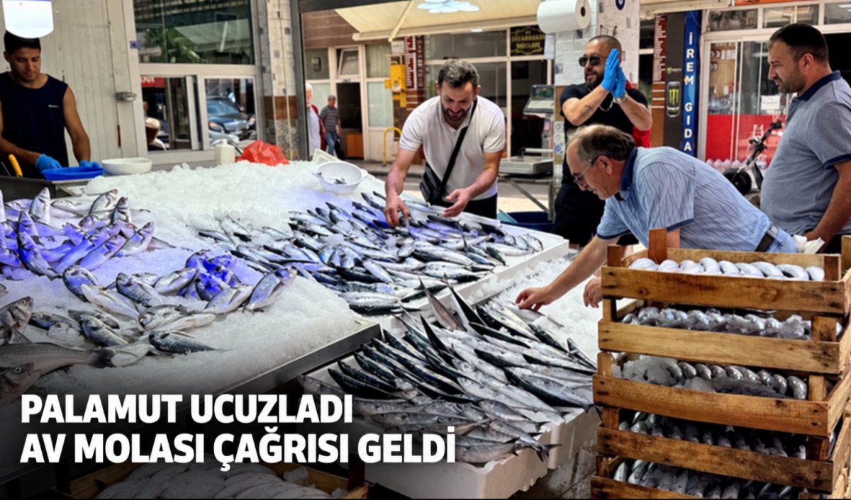 Palamut ucuzladı, İstanbul DEMBİR’den avcılığa ara çağrısı geldi
