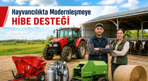 Aile İşletmelerine Yüzde 60 Hibe Desteği Başvurular Başladı