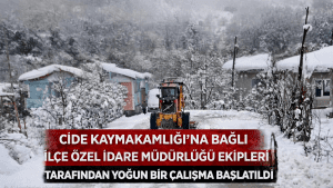 Cide Kaymakamlığı’na Bağlı Ekipler Kapalı Köy Yolları İçin Harekete Geçti