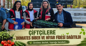 Cide’de Çiftçilere Hibeli Sebze Fidesi Desteği