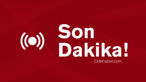 Cide’de Silahlı Cinayet: Şüpheli Tutuklandı