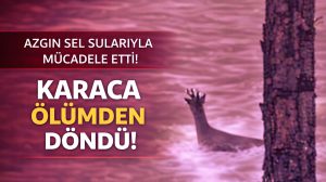 Kapıkaya’da Nefes Kesen Anlar: Karacanın Zorlu Geçişi Kamerada