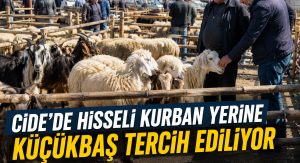 Cide’de Küçükbaş Kurbanlığa Yönelim Arttı