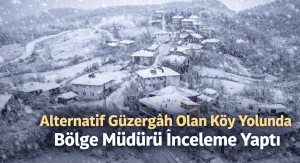 Cide–Bartın Yolu Kapanınca Alternatif Güzergâh Köy Yolu Oldu: Bölge Müdürü Sahada İnceleme Yaptı